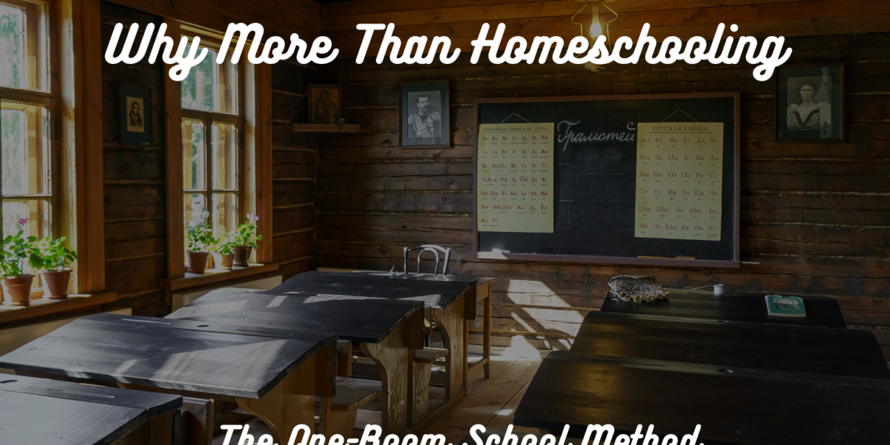 Why More than Homeschooling