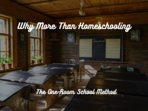 Why More than Homeschooling