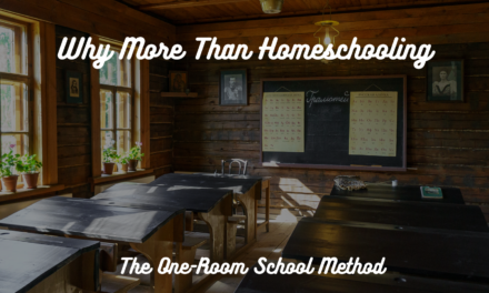 Why More than Homeschooling